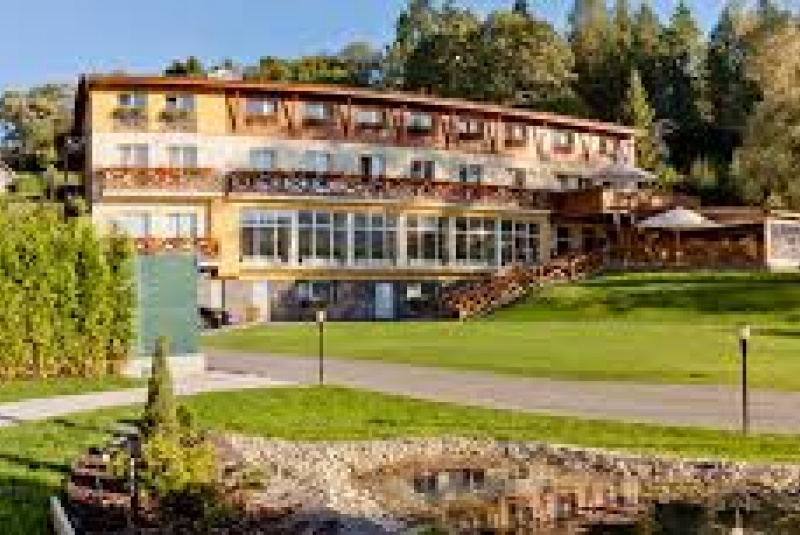 Referencie Referencie